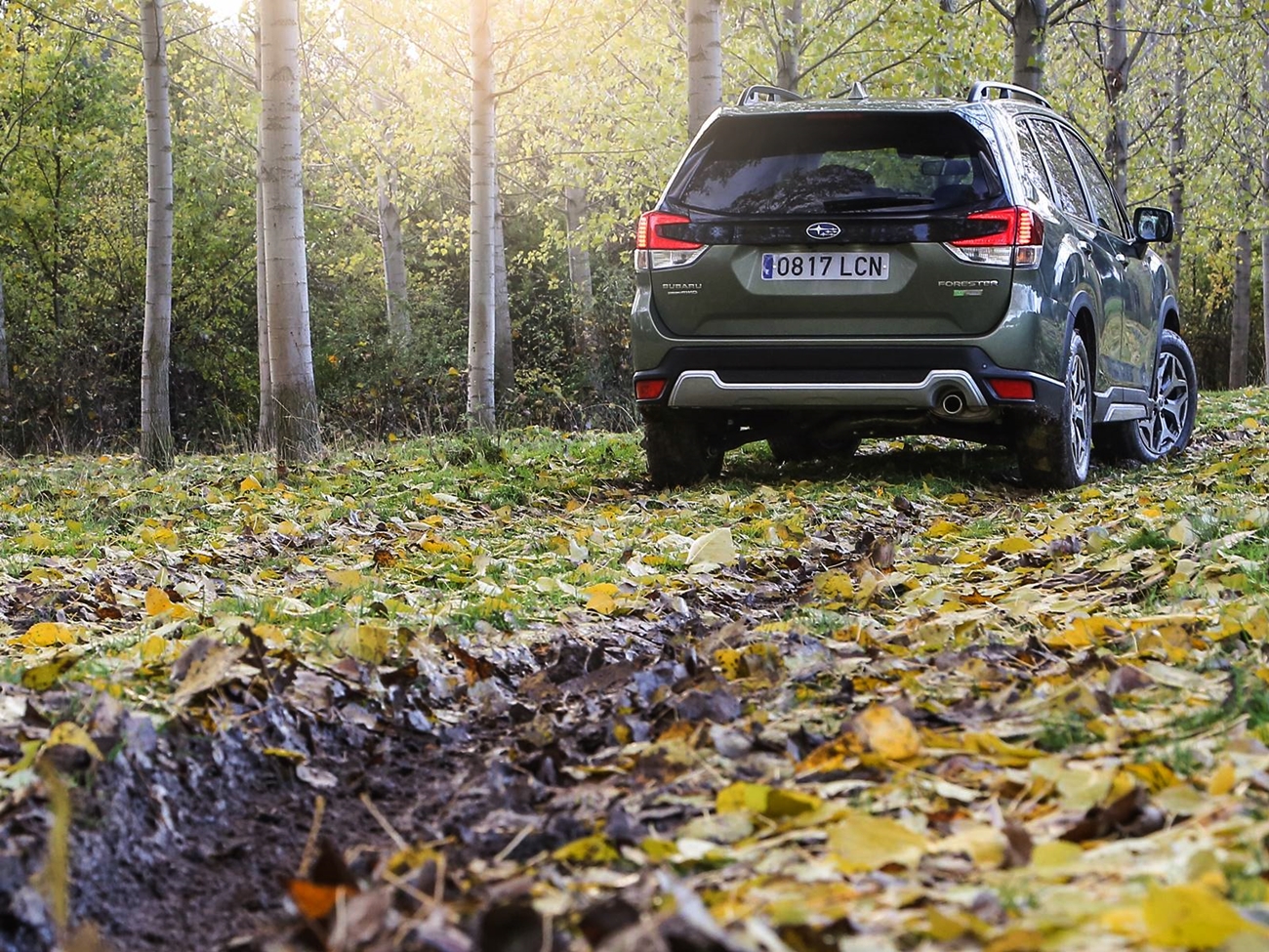 Subaru Forester Eco Hybrid (1)