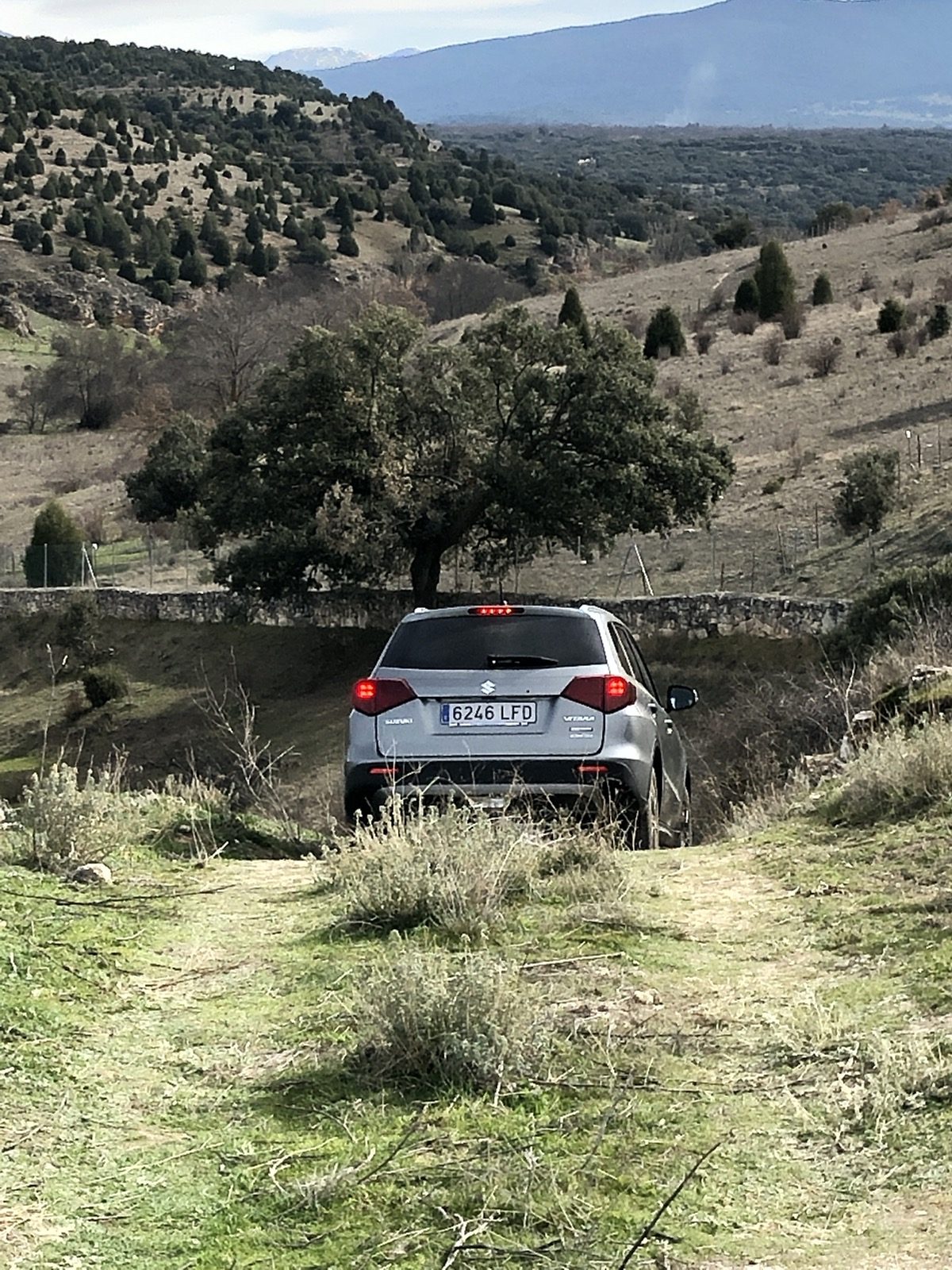 Suzuki Vitara Mhev 26