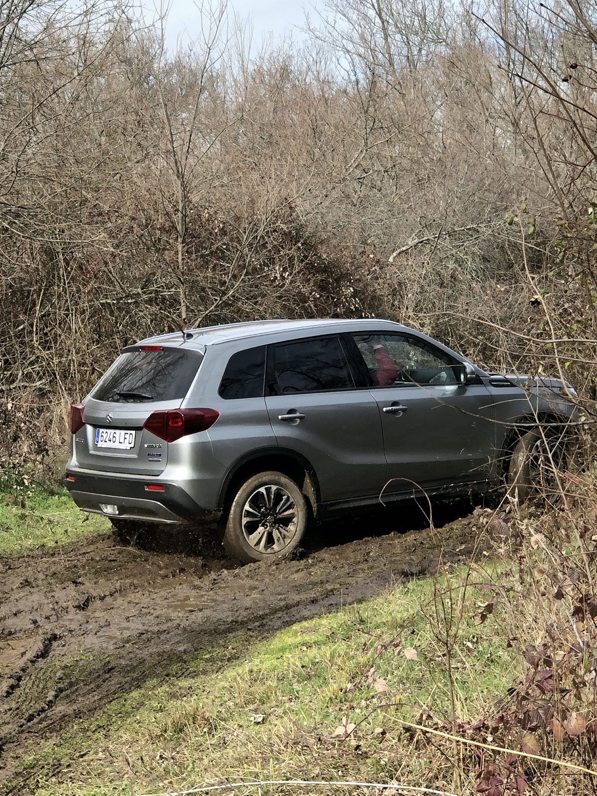 Suzuki Vitara Mhev 27